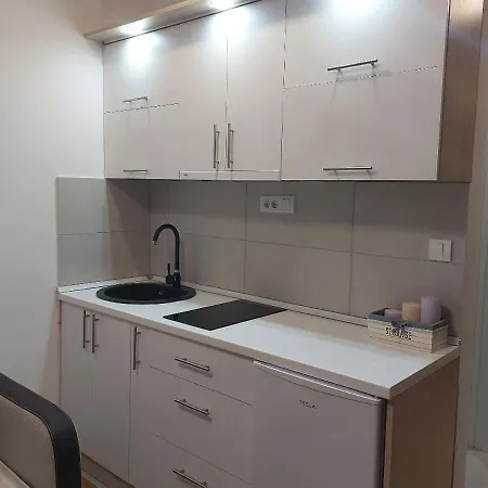 Loly * 兹拉蒂博尔